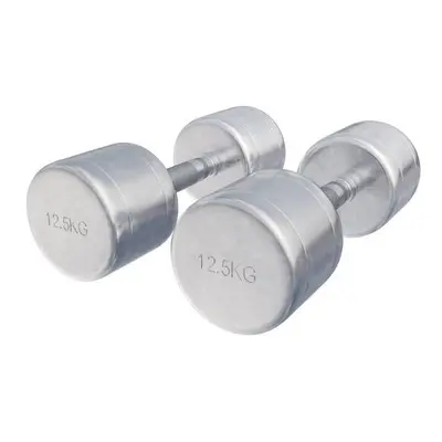 Dumbbellset 25 kg chroom - 2 x 12,5 kg bij Gorilla Sports