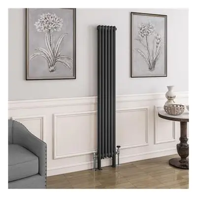 Eastbrook Imperia 2 koloms radiator 30x180cm 1078W antraciet bij Sanitairkamer
