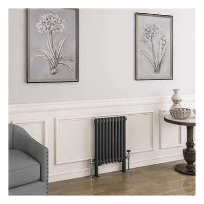 Eastbrook Imperia 2 koloms radiator 45x60cm 639W antraciet bij Sanitairkamer