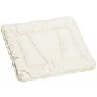 Eerste Kussen 50x60 Biologisch Tencel Wasbaar 150 gr bij GreenJump