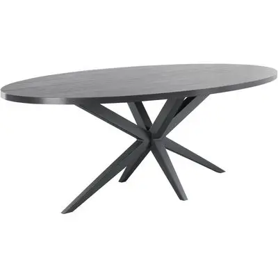 Eettafel Mascaro220x120 cm ovaal zwart bij Pronto Wonen