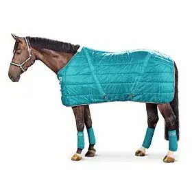 Eskadron Nylon Staldeken Turquoise bij Braaaf Ruitersport