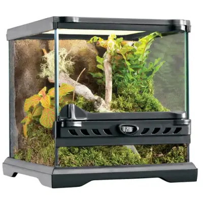 Exo Terra Glas Terrarium | 20 x 20 x 20CM bij Junai
