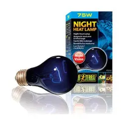 Exo Terra Maanlichtlamp Night Glo Bulb 75w bij AvonturiaShop