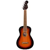 Fender Avalon Tenor Ukulele, Walnut Fingerboard, 2-Color Sunburst, Topkwaliteit Ukelele MEIBERGEN SUPERDEALS TOT EN MET 31 DECEMBER 2026 bij Meibergen (Almelo)