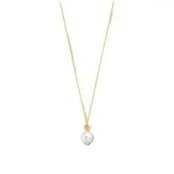 Fijn geelgouden collier bij Zilver.nl