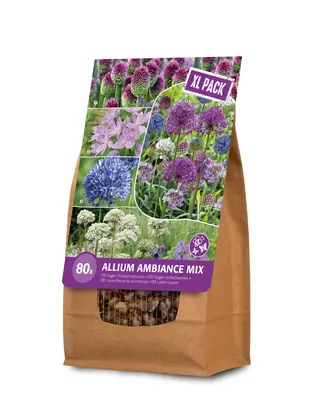 Florex Ambiance Allium - Bloembollen - XL zak bij Welkoop