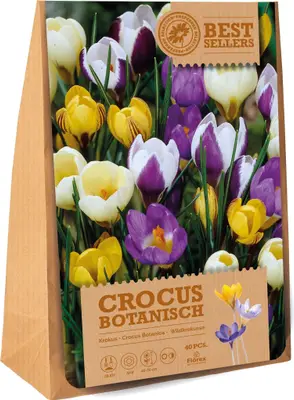 Florex bloembollen krokus (Crocus) botanische mix 40 stuks bij Intratuin