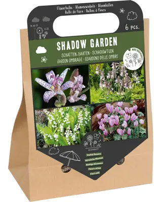 Florex bloembollen nuttige bloemen schaduwtuin 6 stuks bij Intratuin