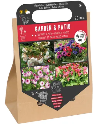 Florex bloembollen nuttige bloemen tuin en patio 2 stuks bij Intratuin