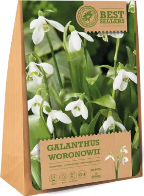 Florex bloembollen sneeuwklokje (Galanthus woronowii) 20 stuks bij Intratuin