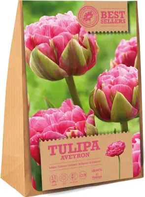 Florex bloembollen tulp (Tulipa 'Aveyron') 12 stuks bij Intratuin