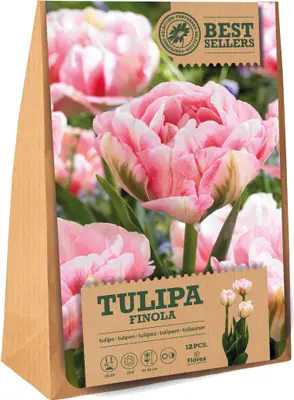 Florex bloembollen tulp (Tulipa 'Finola') 12 stuks bij Intratuin