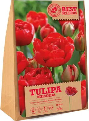 Florex bloembollen tulp (Tulipa 'Miranda') 15 stuks bij Intratuin