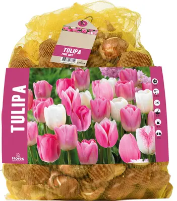 Florex bloembollen tulp (Tulipa) Roze mix 30 stuks bij Intratuin