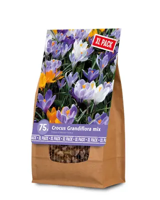 Florex Krokus mix- Bloembollen - XL zak bij Welkoop