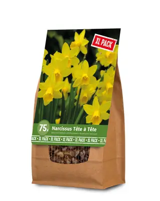 Florex Narcis - Bloembollen - XL zak bij Welkoop