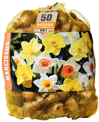 Florex Narcissen Voordeelverpakking - Bloembollen bij Welkoop