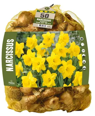 Florex Narcissen Voordeelverpakking - Bloembollen bij Welkoop