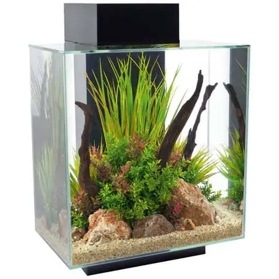Fluval Edge II 2.0 Aquarium – 46L | Zwart of Wit bij Aquaria Pura