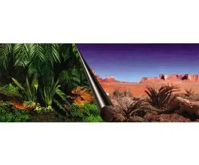 Foto Achterwand 120x50cm Jungle+Dessert bij Blue Lagoon