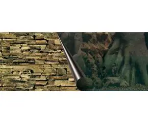 Foto Achterwand 120x50cm Tree+Rock bij Blue Lagoon