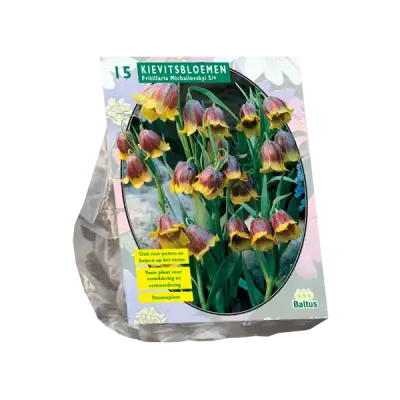 Fritillaria Michailovskyi per 15 bloembollen Baltus bij Warentuin
