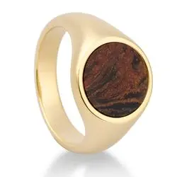 Geelgouden zegelring pietersite bij Zilver.nl
