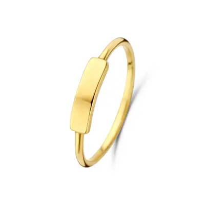Geelgouden zegelring R470-AG1649-2480-Y bij Siebel Juweliers