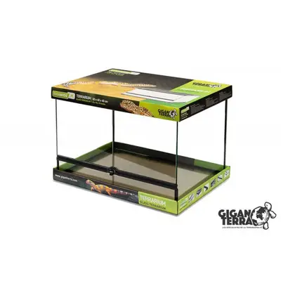 Giganterra - Terrarium Wide M 60x40x40 bij Reptika Reptiles