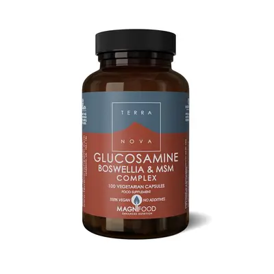 Glucosamine Boswellia MSM Complex (100 capsules) bij Vitaminadviceshop