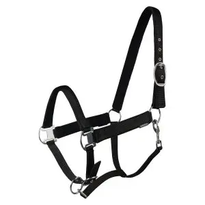 HALSTER ELEGANT bij Wind Ruitersport