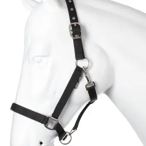 HALSTER NUBUCK bij Wind Ruitersport