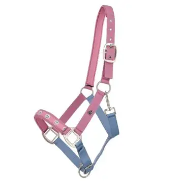 Halster QHP Collection Lavender haze bij Equidrome