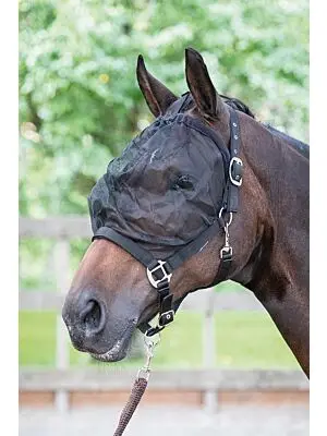 Harry's Horse Halster met Vliegenmasker bij Ruiterstad