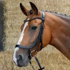 Harry's Horse Hoofdstel Anatomic Black Crystal bij Ruitersport.com (Almar)