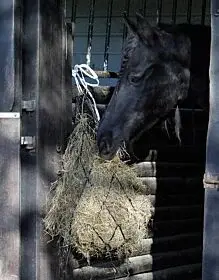 Harry's Horse Hooinet standaard bij Braaaf Ruitersport