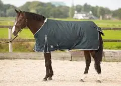 Harry's Horse Outdoordeken Thor 300 Ebony bij Reinders Ruitersport