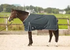 Harry's Horse Regendeken Thor 100gr bij Ruitersport.com (Almar)