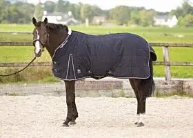 Harry's Horse Staldeken Highliner 200 gram Black Iris bij Braaaf Ruitersport