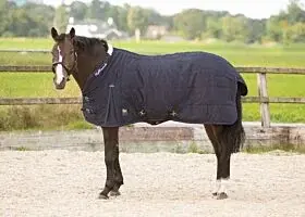 Harry's Horse Staldeken Highliner 300 gram bij Braaaf Ruitersport
