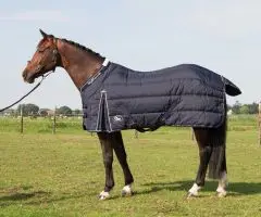 Harry's Horse staldeken highliner 500 gram bij Reinders Ruitersport