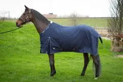 Harry's Horse Staldeken Highliner Boa Navy bij Reinders Ruitersport