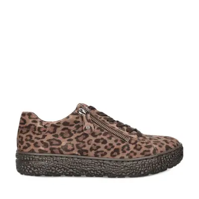 Hartjes Veterschoenen 162.1401/40 52.00 Bruin bij Donelli