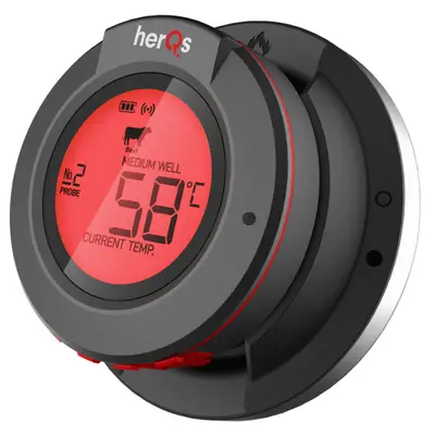 HerQs Dome Thermometer bij Vuur & Rook