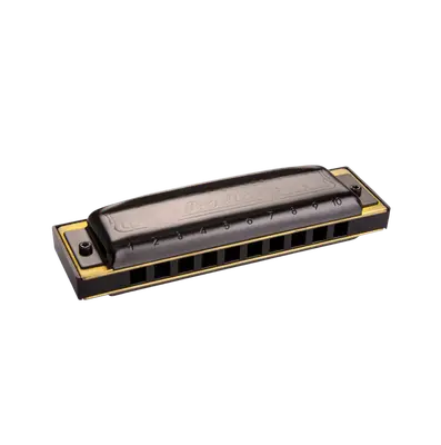 Hohner Pro Harp D mondharmonica bij Music All In