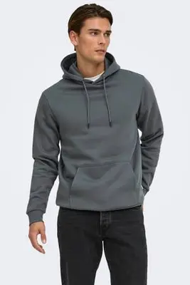 hoodie grijs bij Wehkamp