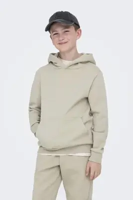 hoodie lichtgrijs bij Wehkamp