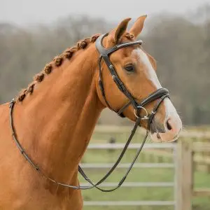 HOOFDSTEL CROWN bij Wind Ruitersport