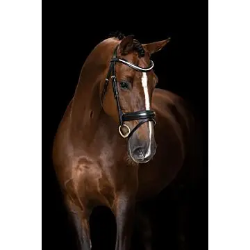 Hoofdstel Imperial Riding Gecombineerde neusriem eenvoudig Black bij Equidrome